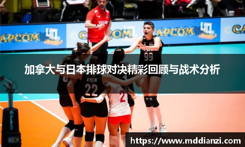 加拿大与日本排球对决精彩回顾与战术分析